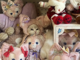 大家一起来找茬~