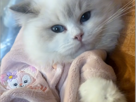 真的有这么不喜欢吗?