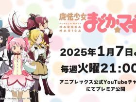 《魔法少女小圆》YouTube每周免费放送