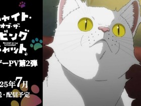 漫改动画《活尸猫之夜》最新预告公布 2025年7月开播